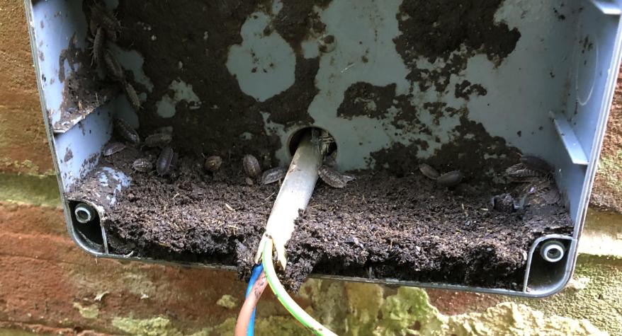 Fault Finding & Repair - Garden Electrics - Carlyia, Fordingbridge